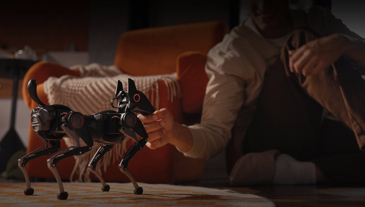 A person touching the chin of a black Hengbot Sirius robot dog beside a sofa.