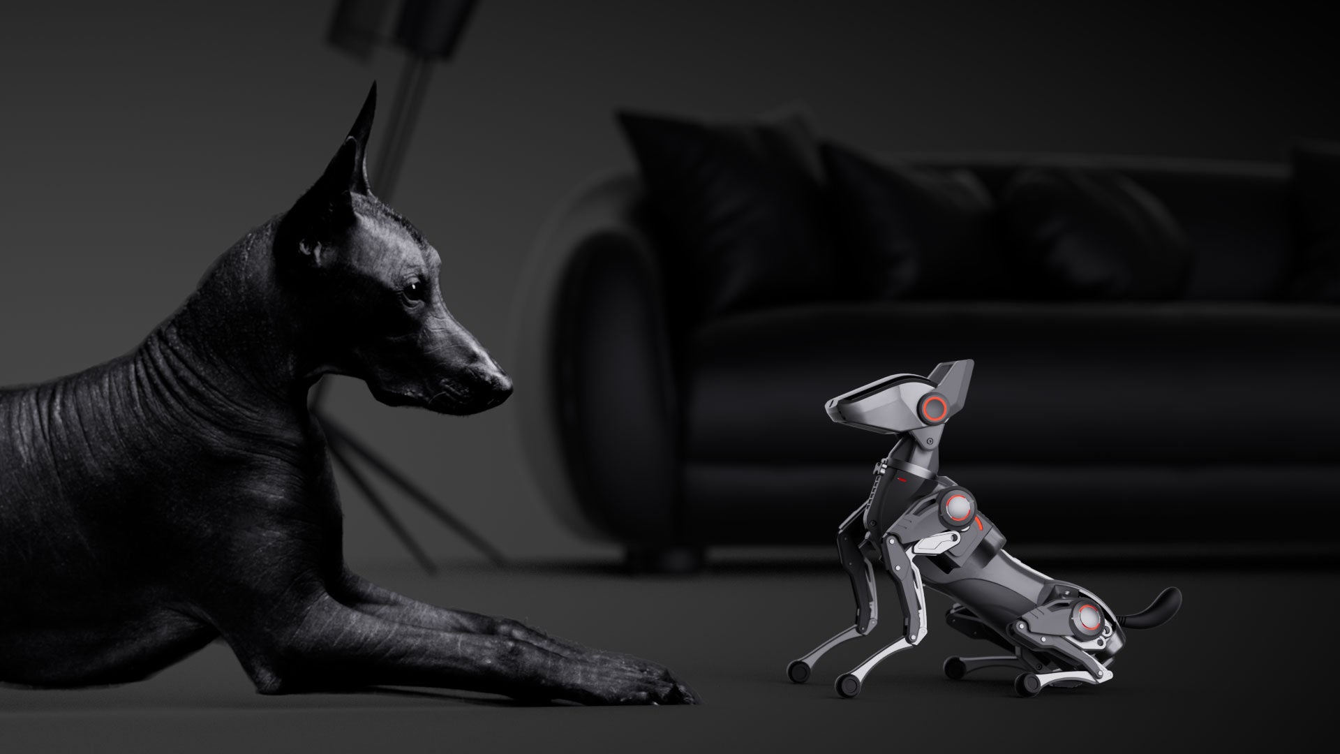 Sirius by Hengbot Kickstarter AI 机器人