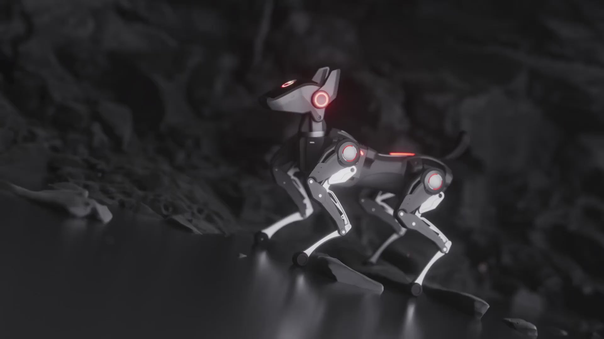 Load video: Hengbot Sirius
