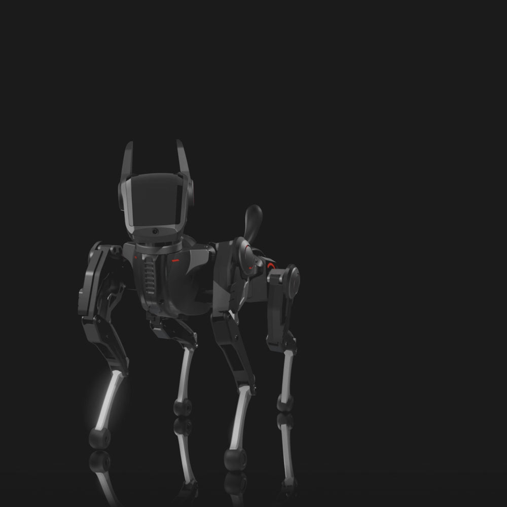 Hengbot Sirius AI Dog Robot